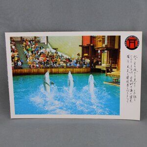 Vintage Postcard - Japanese Village Buena Park Dolphin Show - Continental Card